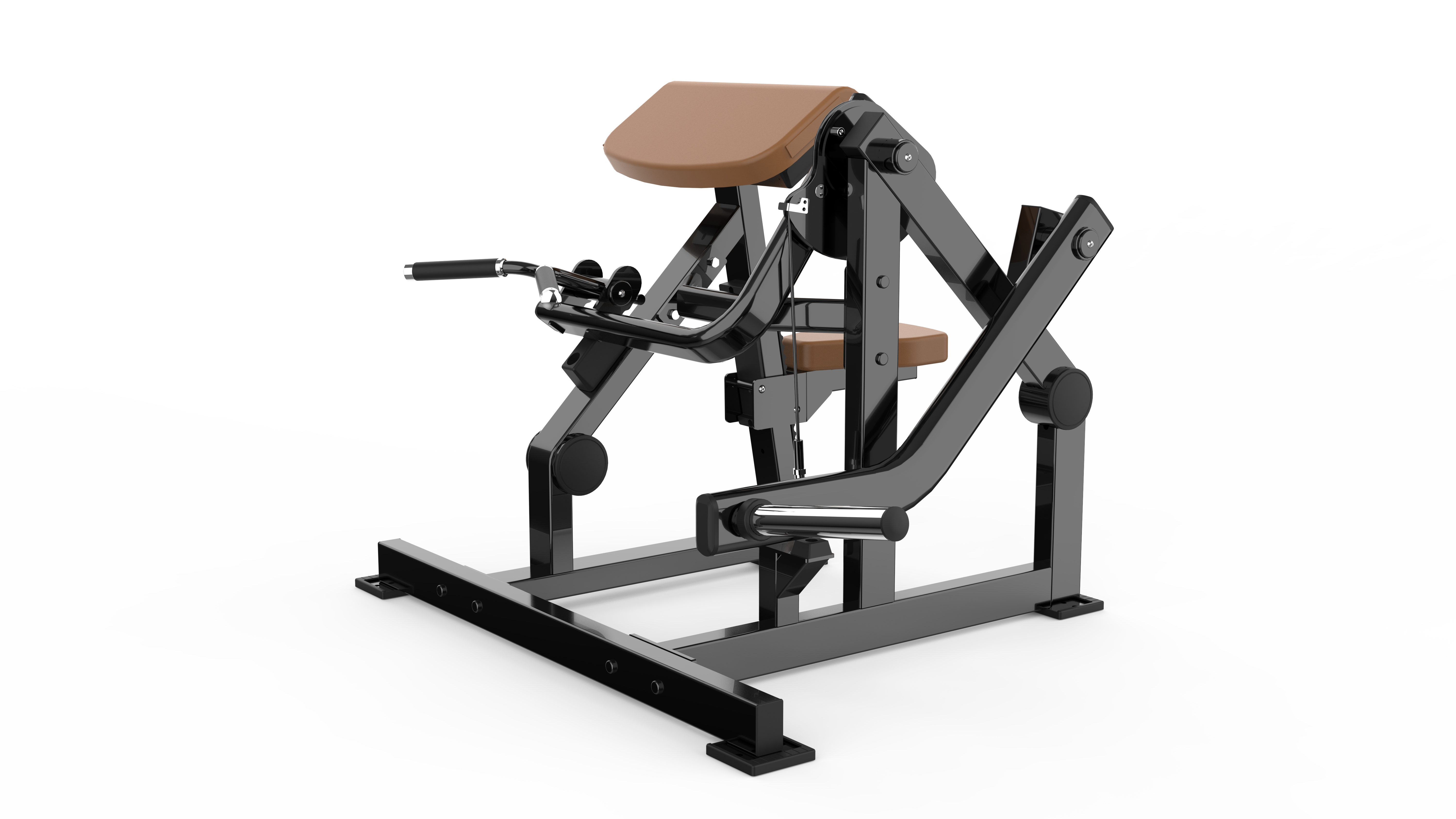 Seated Biceps