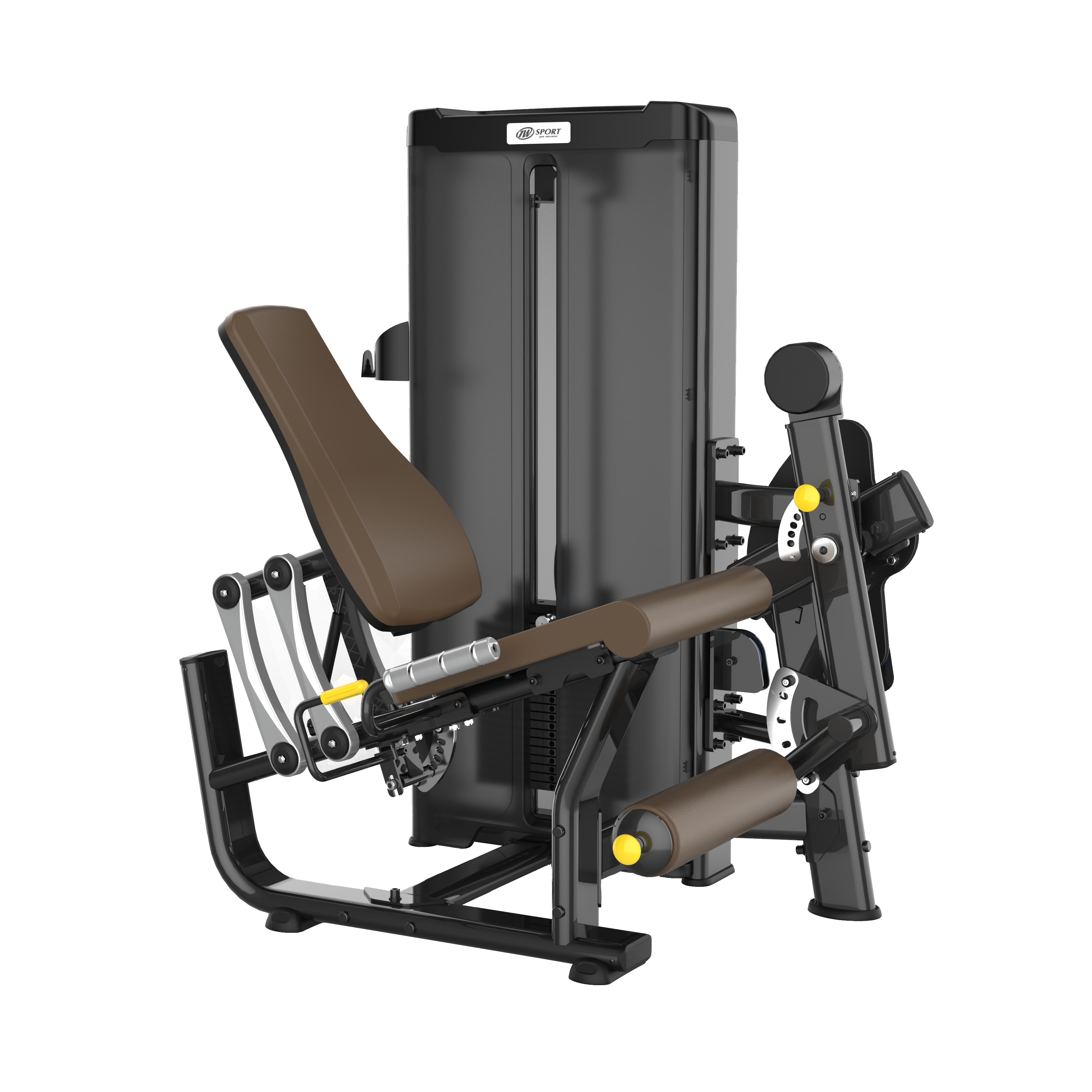 Leg Extension