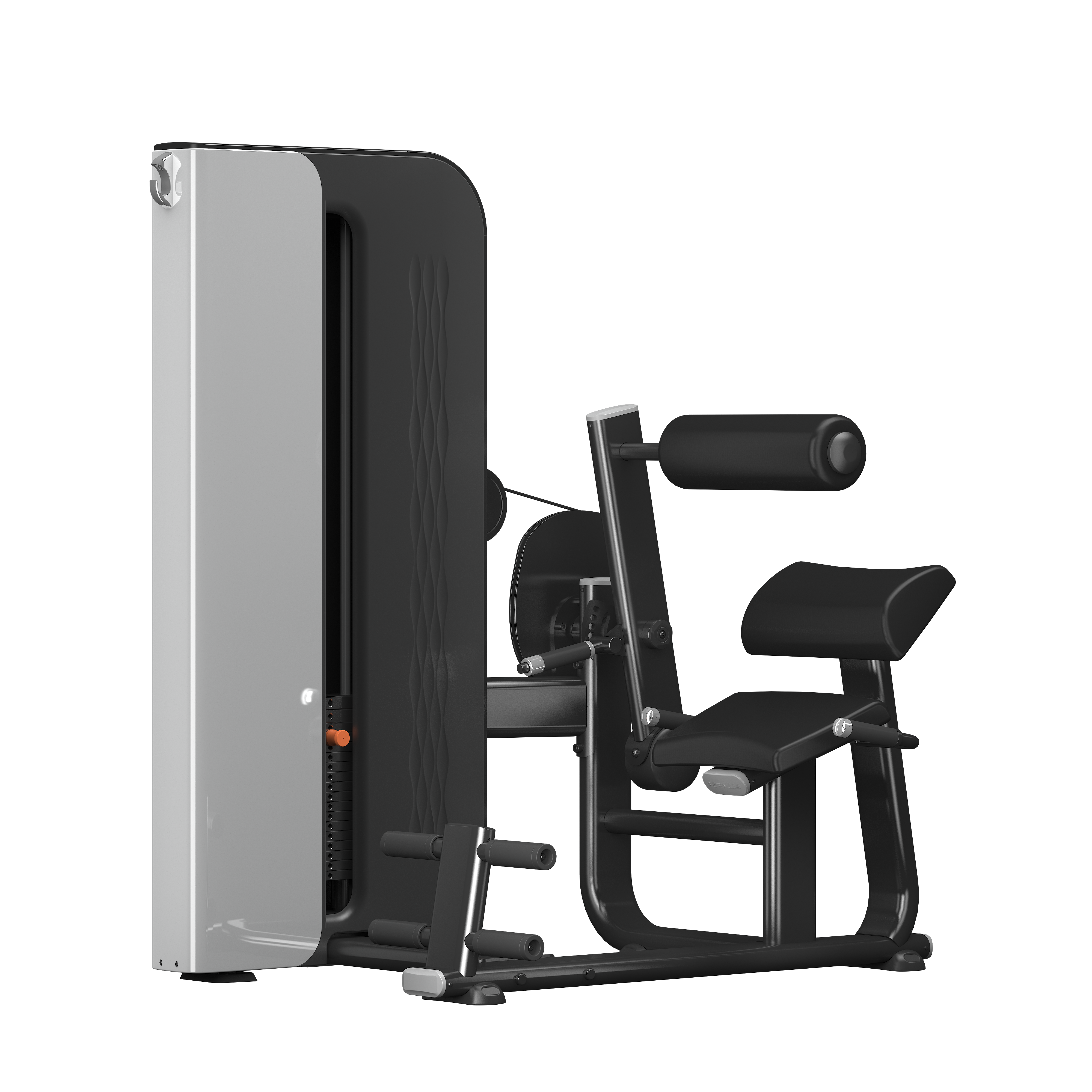 lower back