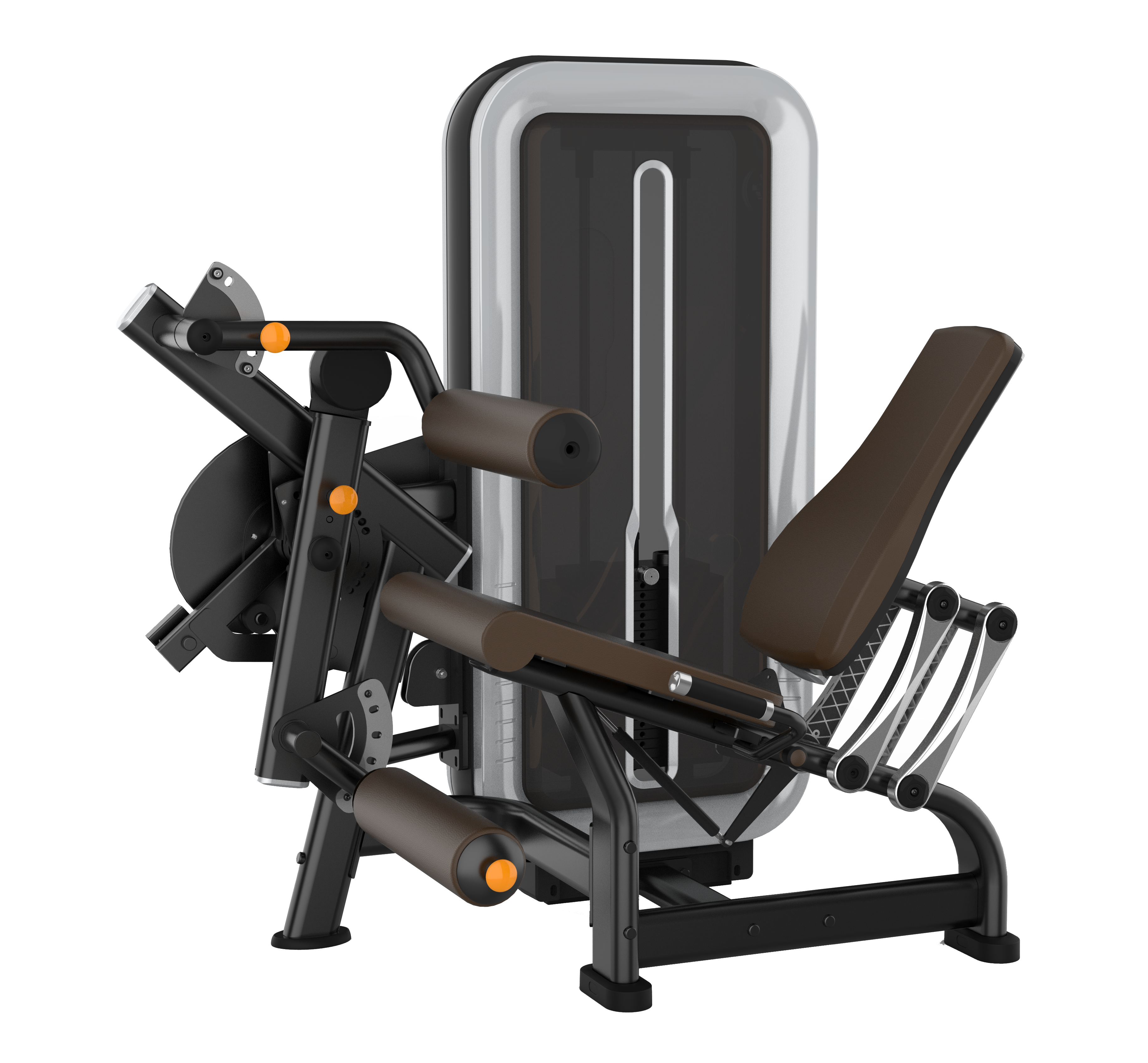 Leg Curl/ Leg Extension